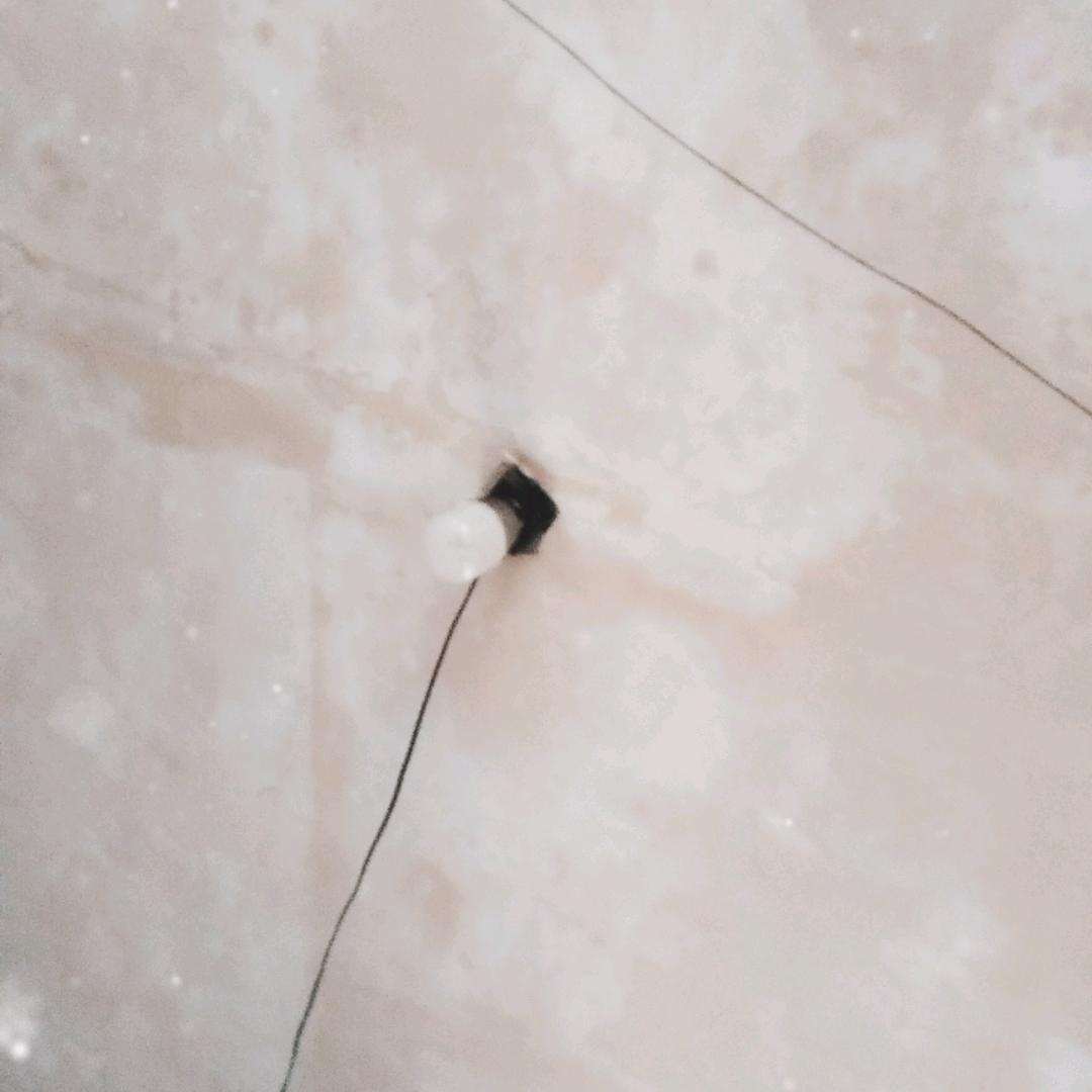 小九妹。