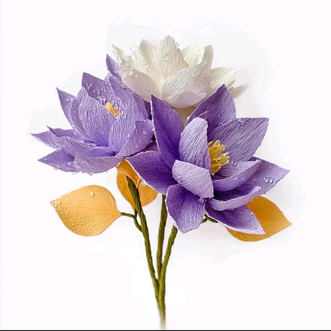 平平零食精选👑