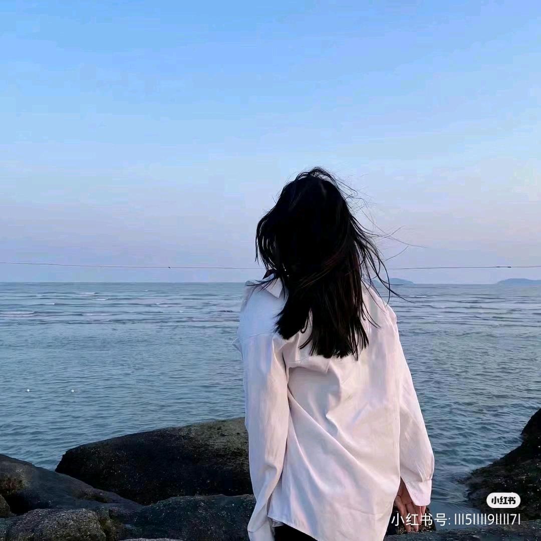 红头果蝇