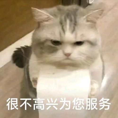 芝麻酱大王