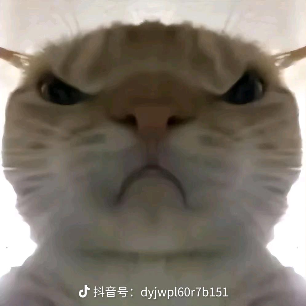 和平精英—地铁逃生鼠鼠——也玩超自然
