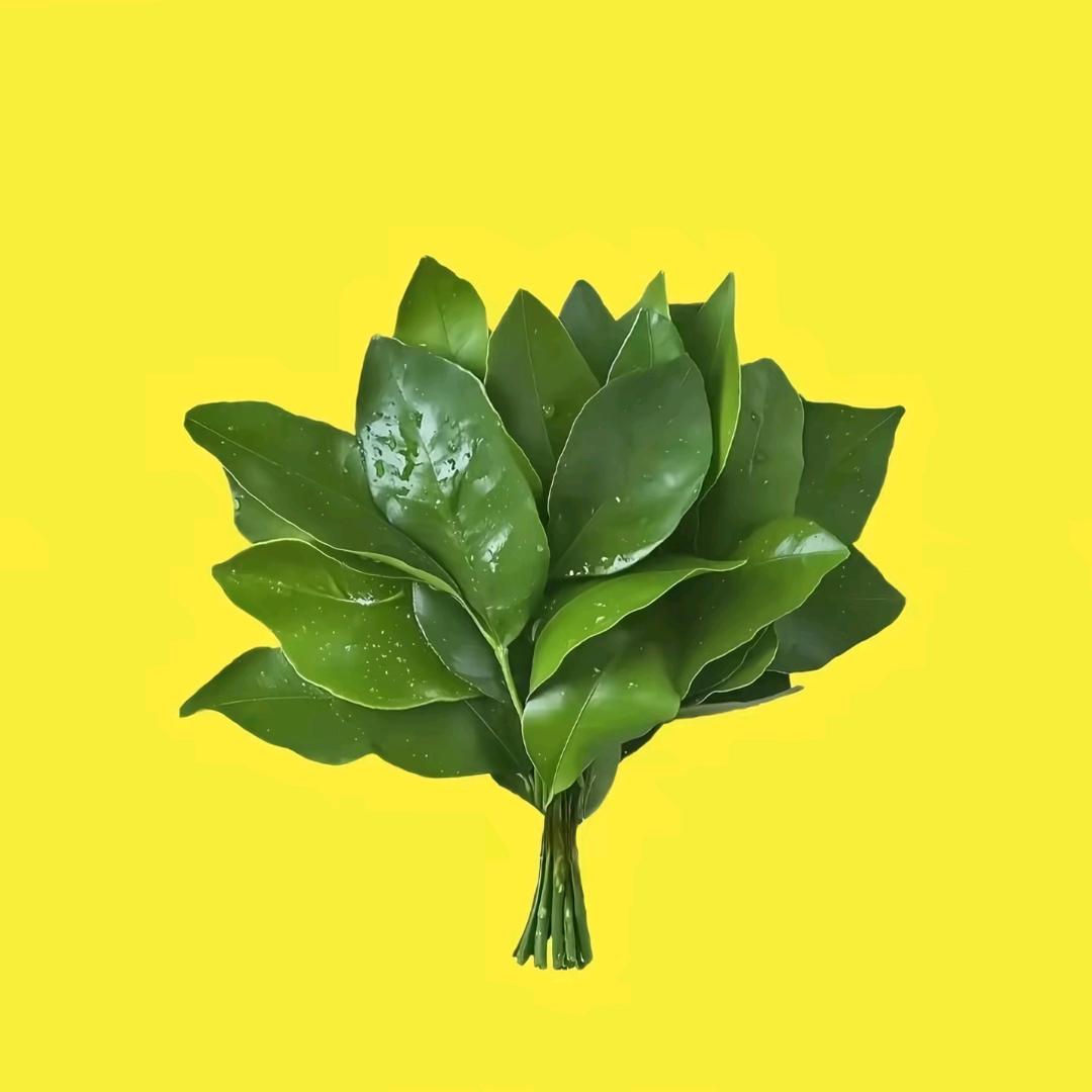 zyl
