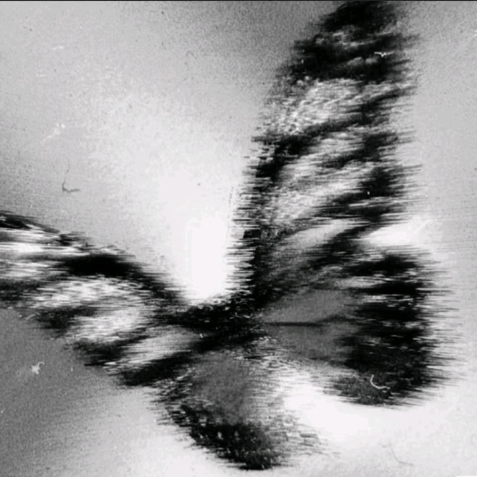 是不是骂的让你叠爽了?