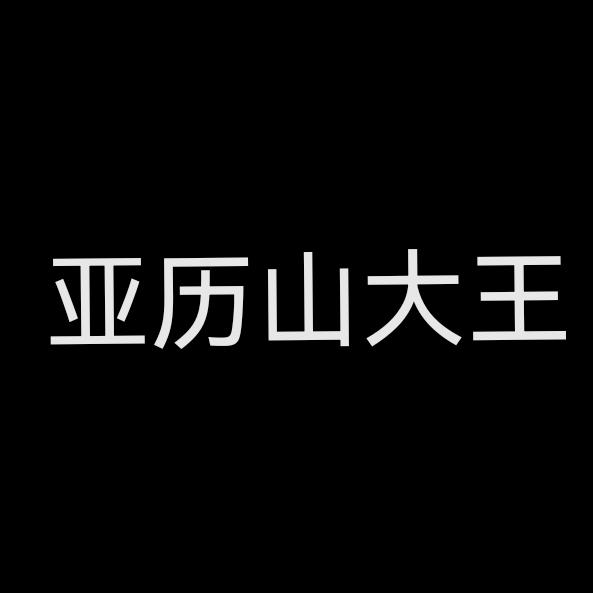 alexanderwang国际奢品