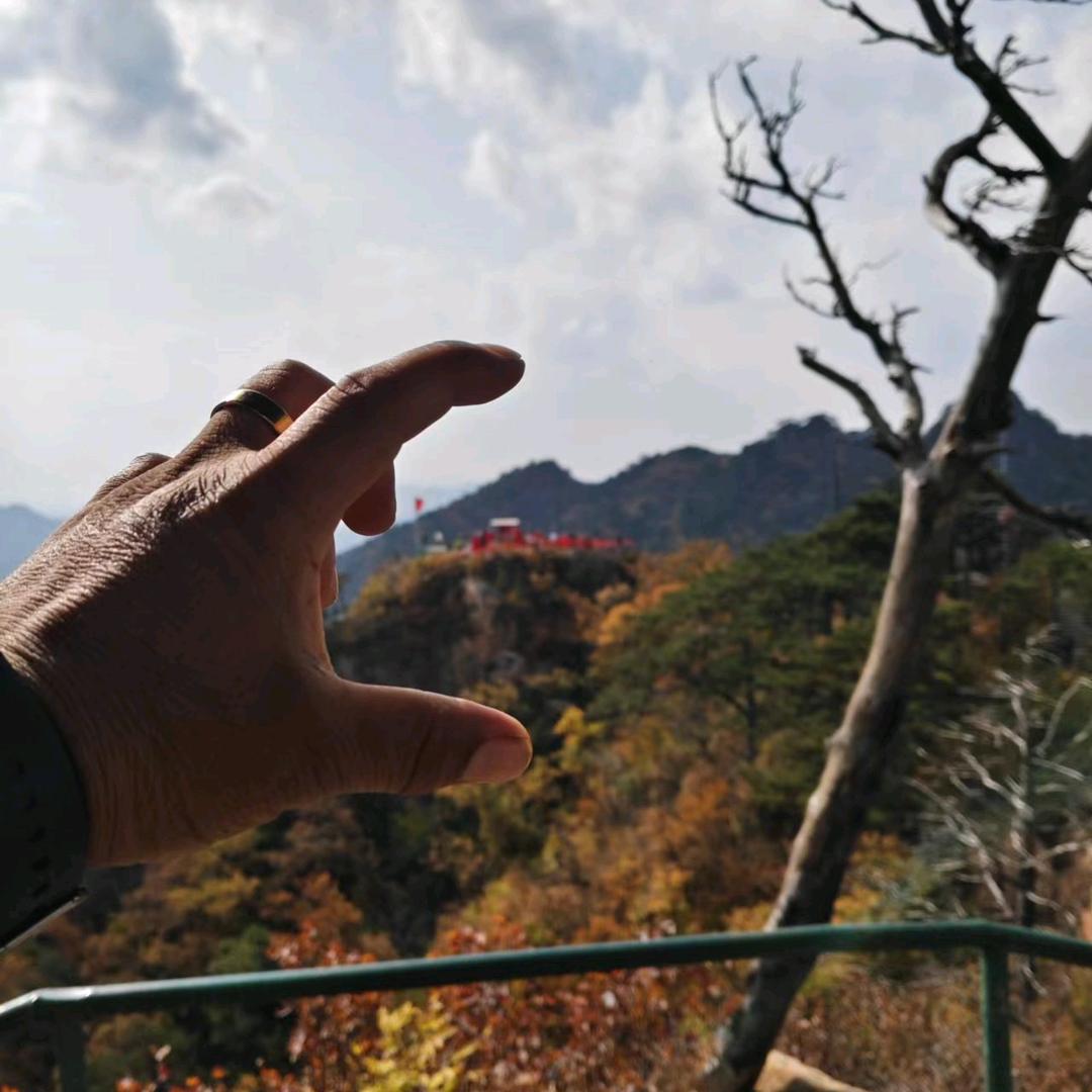 悇泩僅泚