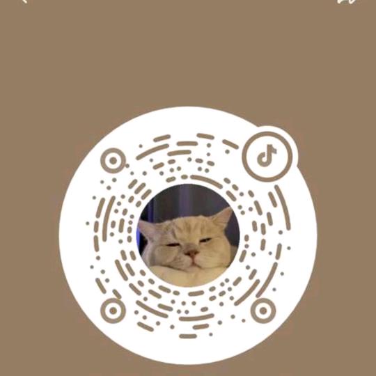 河南新乡辉县败害银