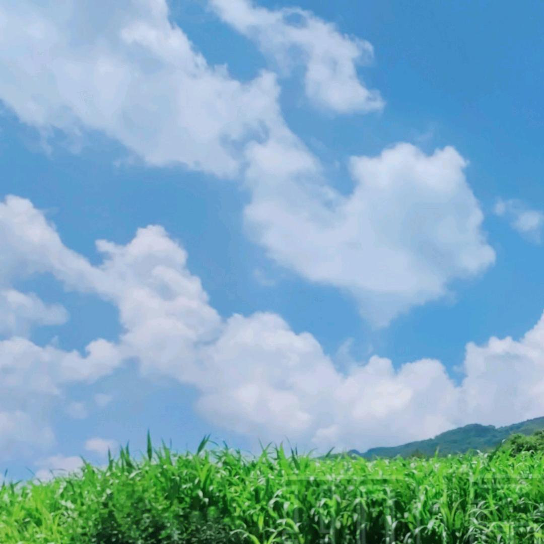 安娜ღ᭄ꦿℒℴѵℯ