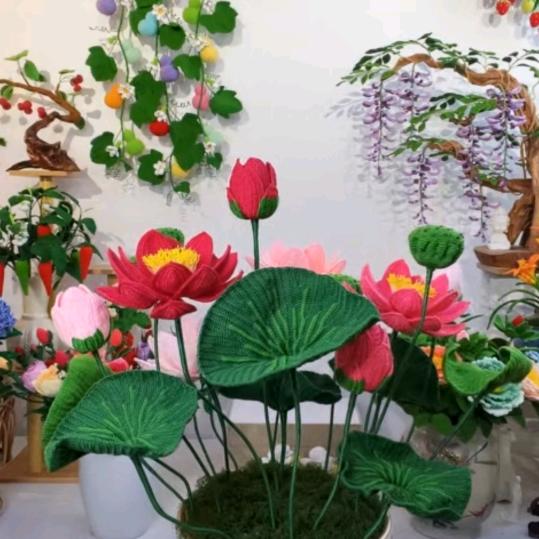 菲菲