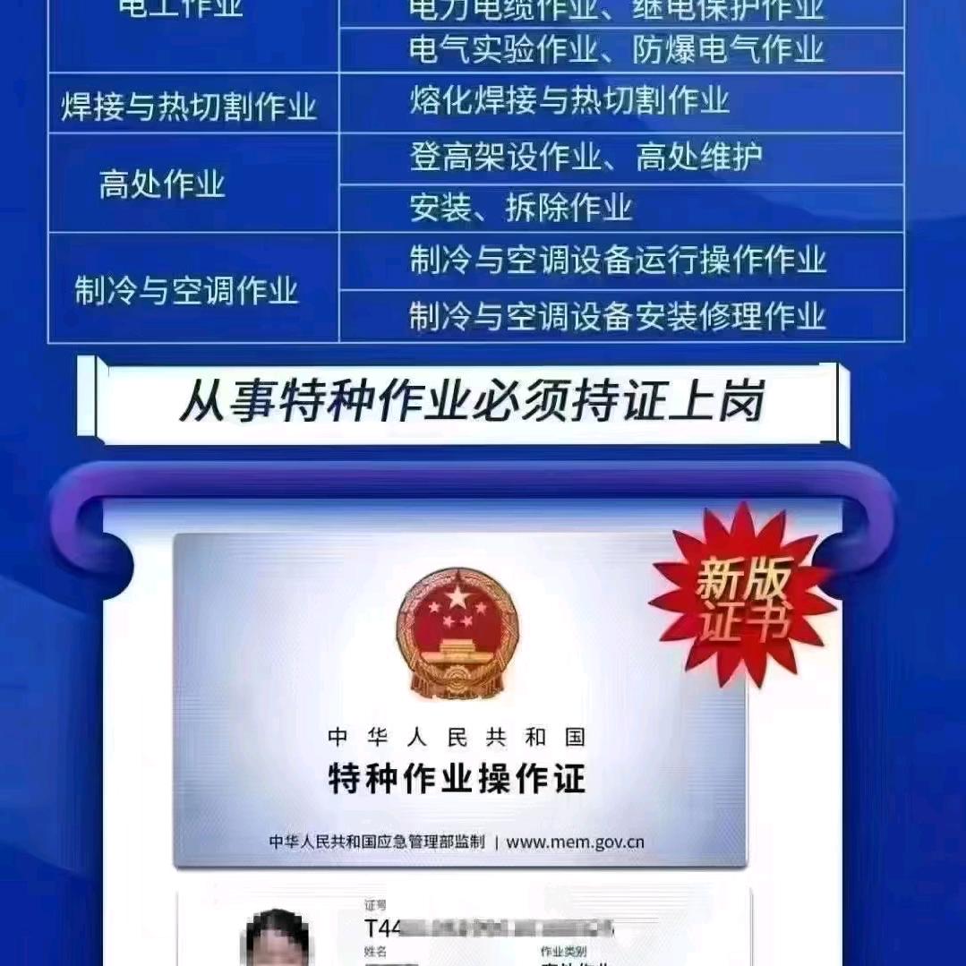 洋葱