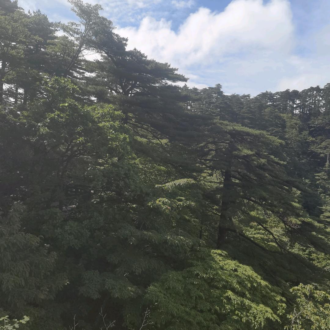从新开始从头来过