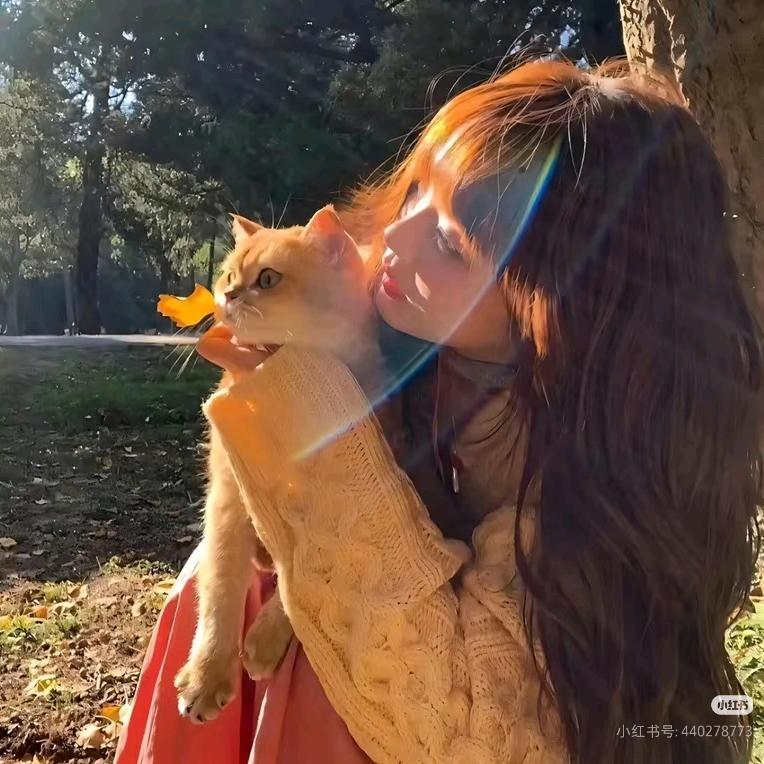 月空追云归ʚʕ̯•͡˔•̯᷅ʔɞ