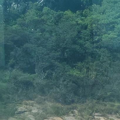 吉祥胜利