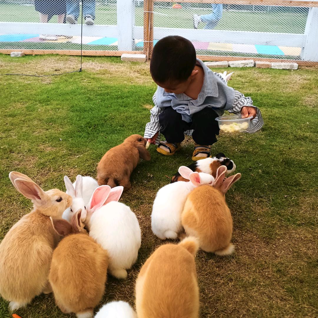 安安妈妈