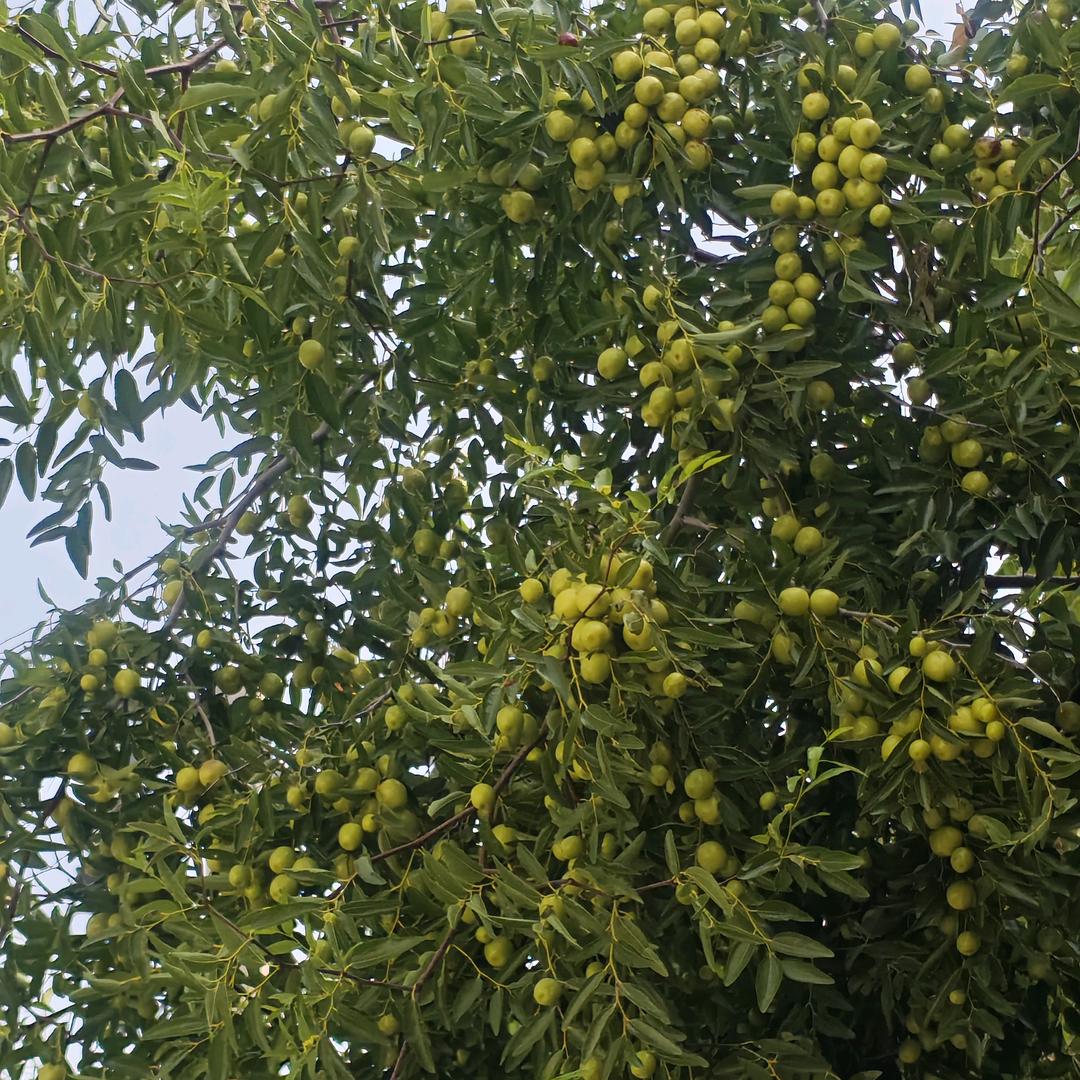 😜沉默