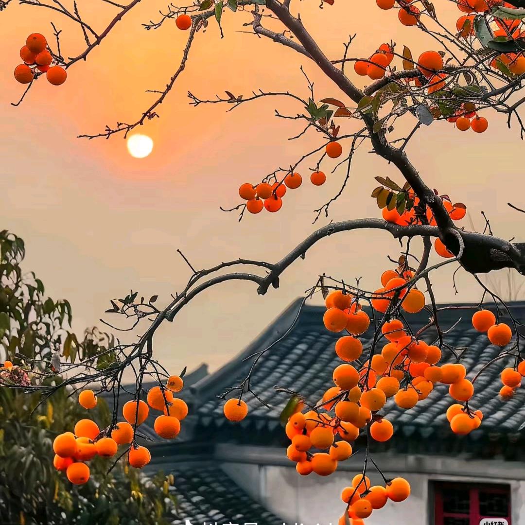 大林子