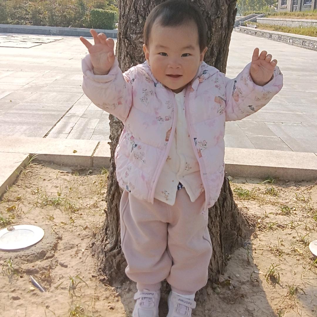 梅花🌸🌸🌸