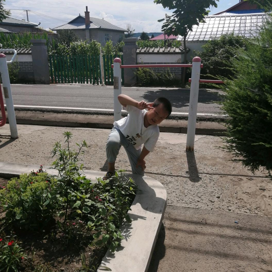 龙的传人
