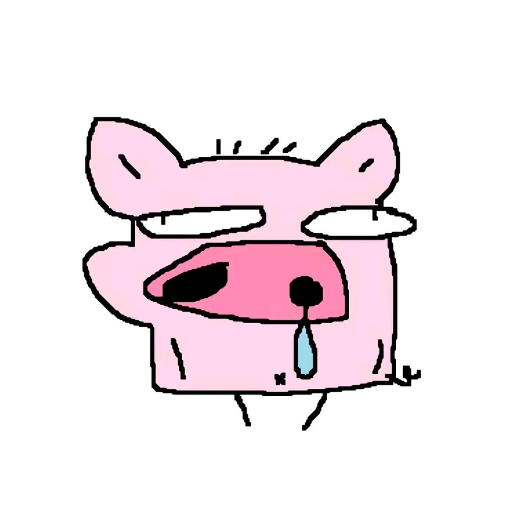 Enzo_