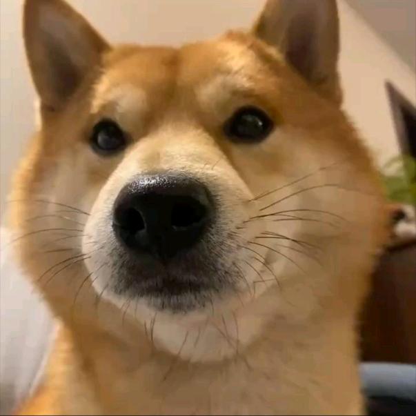 静止