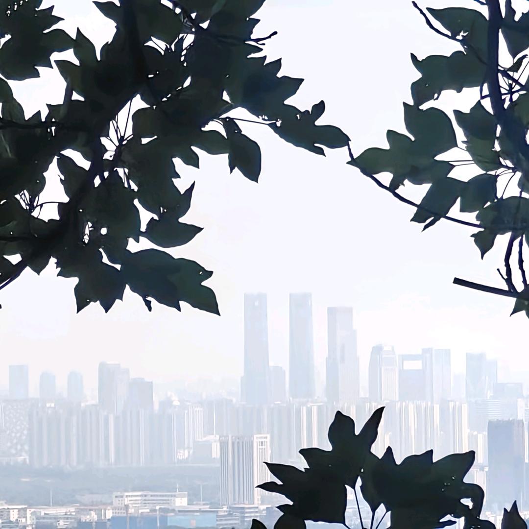 不负如来不傅卿