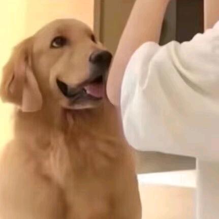糖人啊