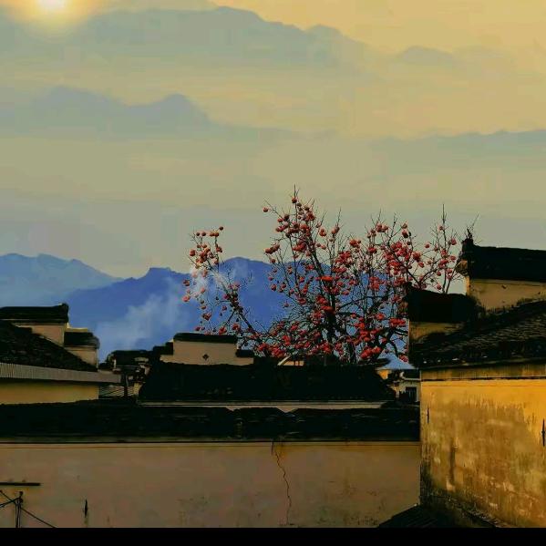 枝头