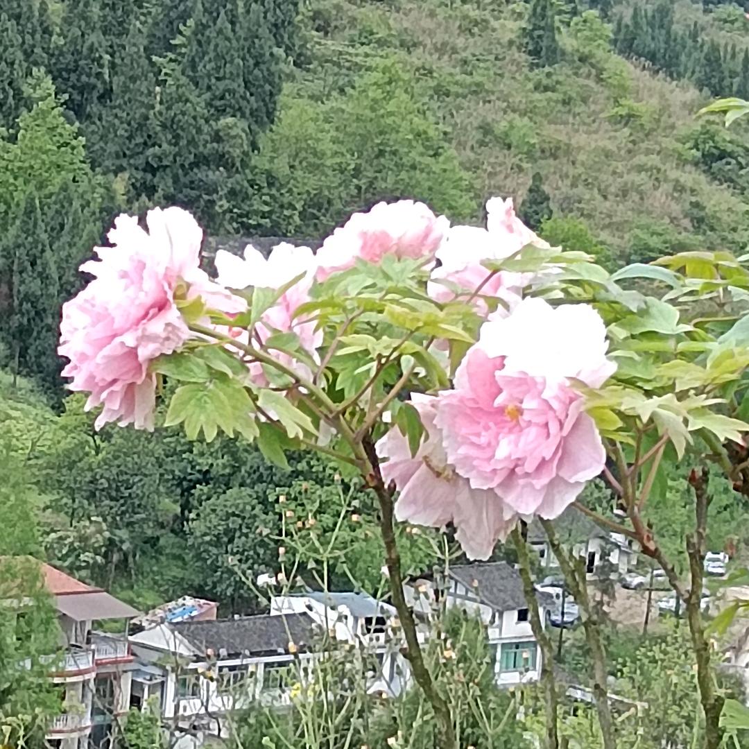 山泽易学士