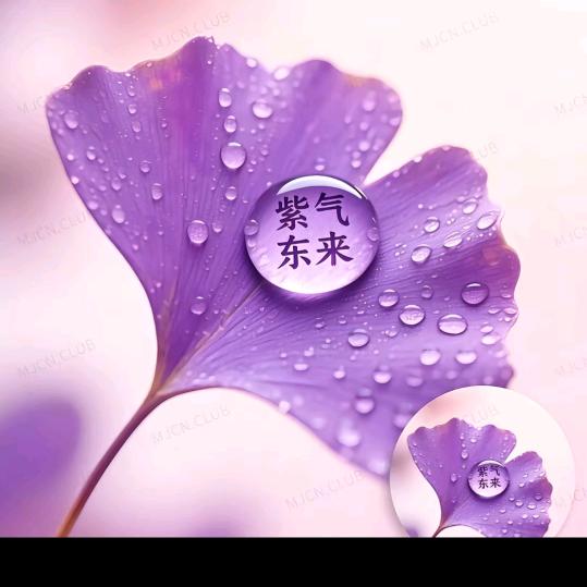 ꧔ꦿ᭄别碰💞꧔ꦿ我❤️心꧔ꦿ᭄💞