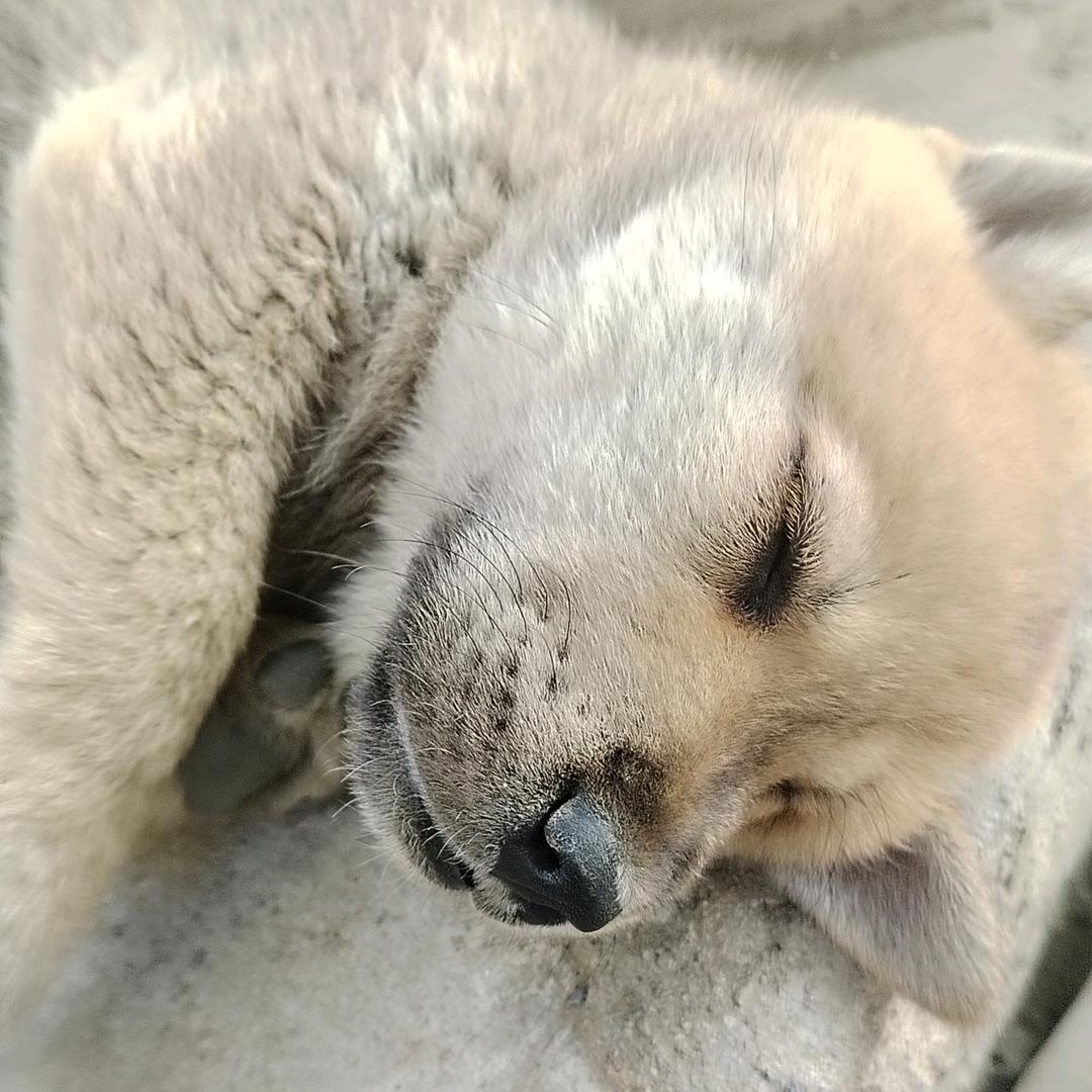 @爱钓鱼的老登💋