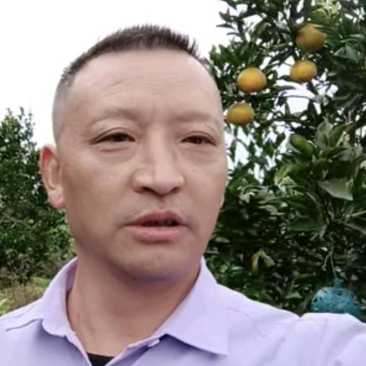 张贵林