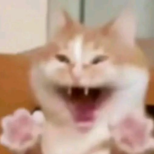 阳光大菠萝🍍大菠萝