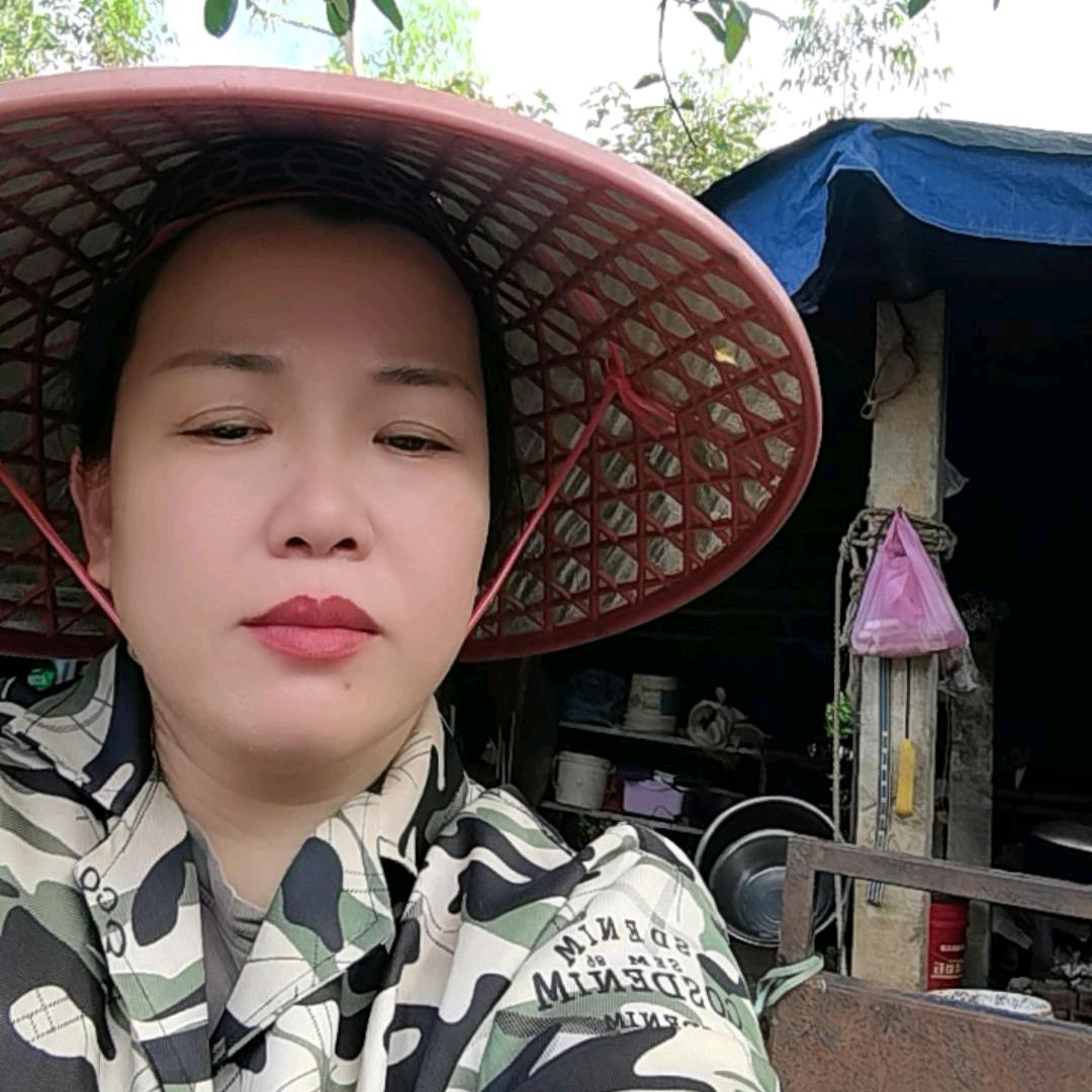 胖妹说养鱼.