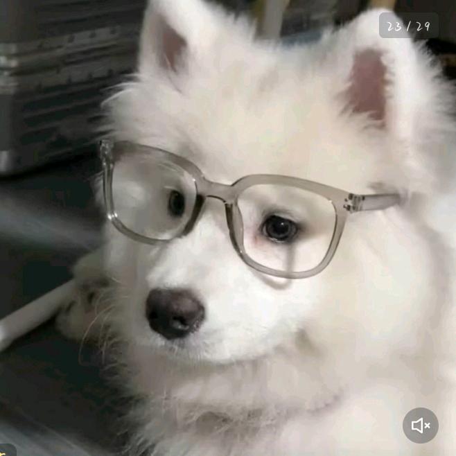 ^华头像