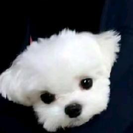 风吹哪页翻哪页