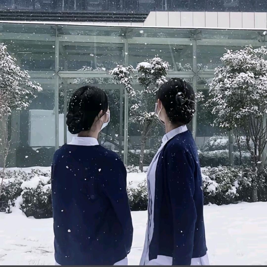 贝贝陈