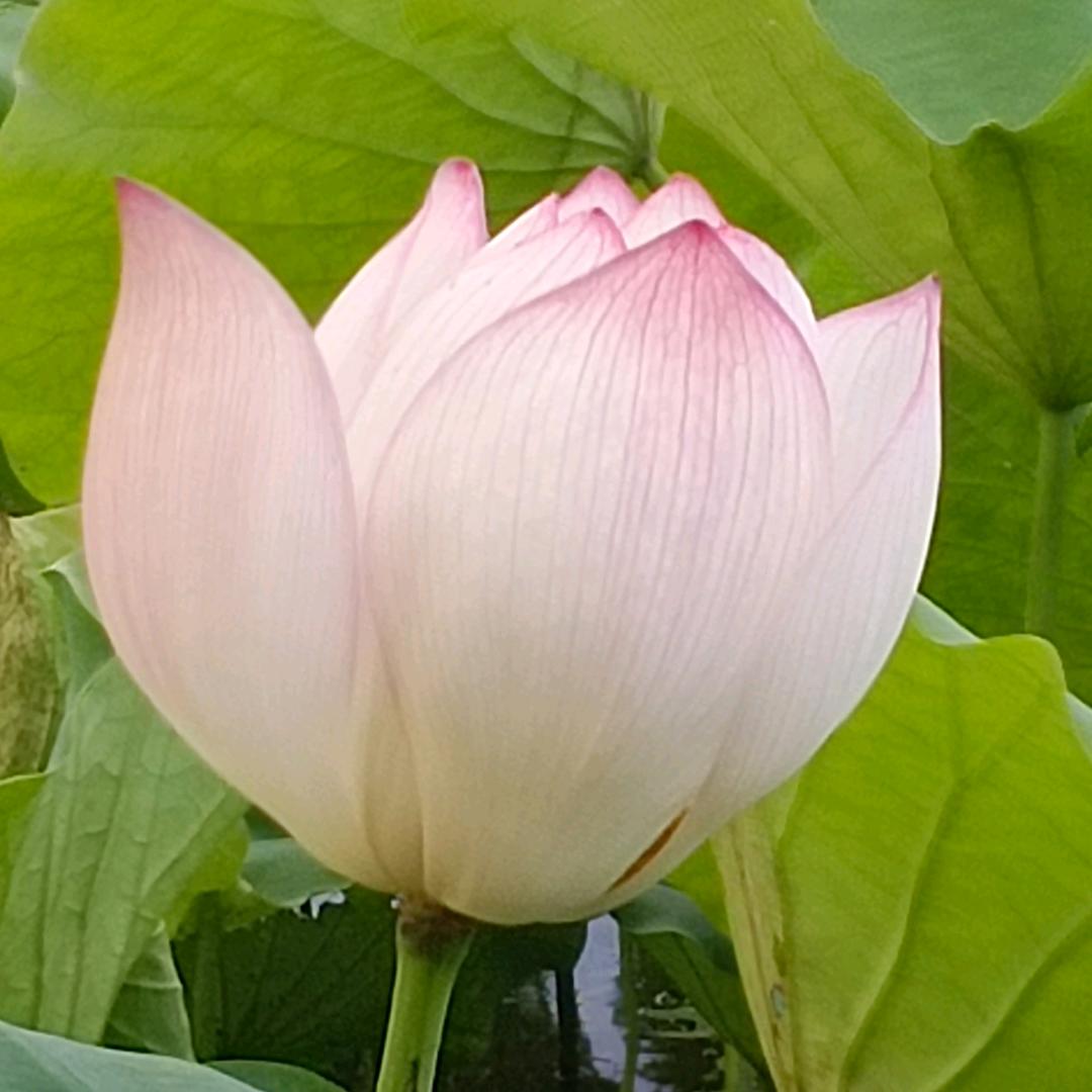 丰盛富足
