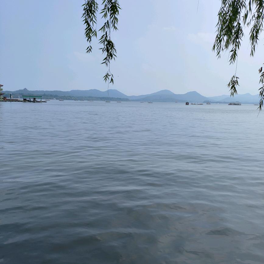 爆富富