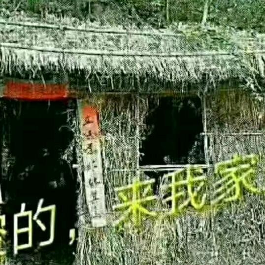 ：石匠装修老头