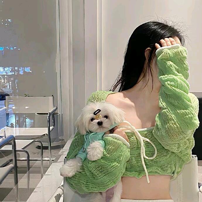 白茶清欢