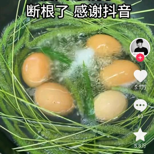 单身哥