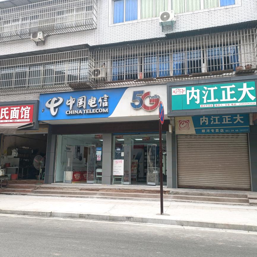 中国电信(正西街店)