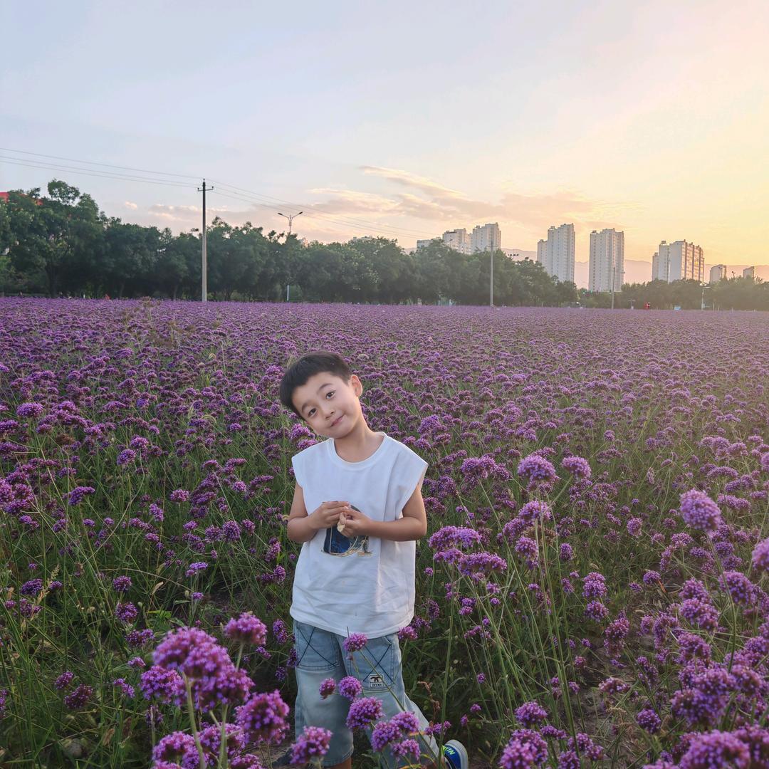❤️ZYang