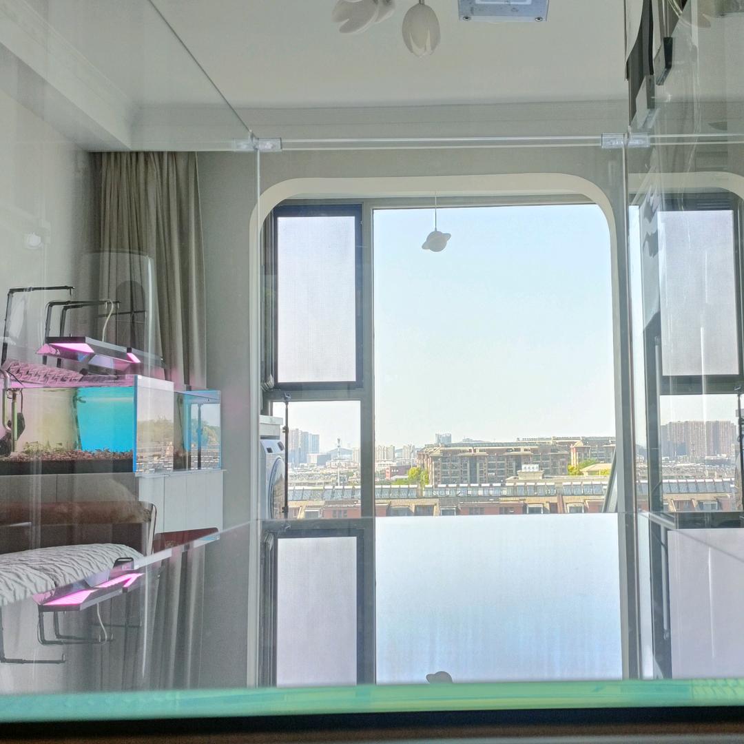 banana(艺珊澜海水族)