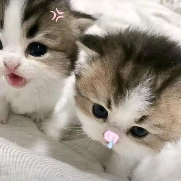 下次见面是星期几