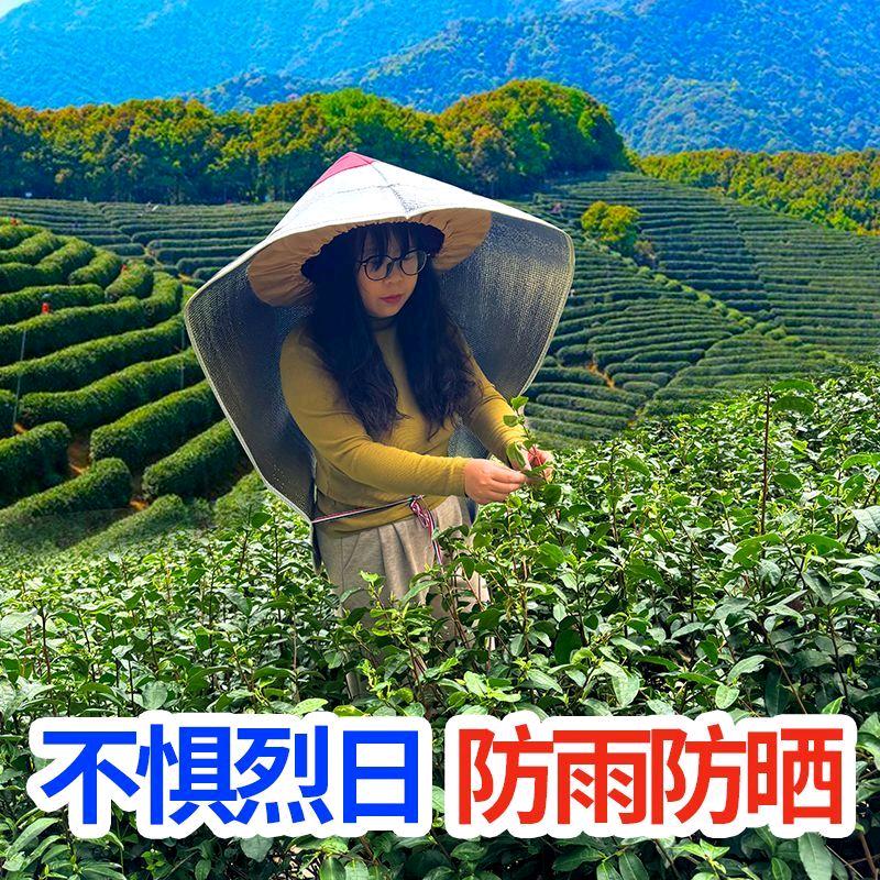 麻雀斑鸠鸽辣嘴防鸟网
