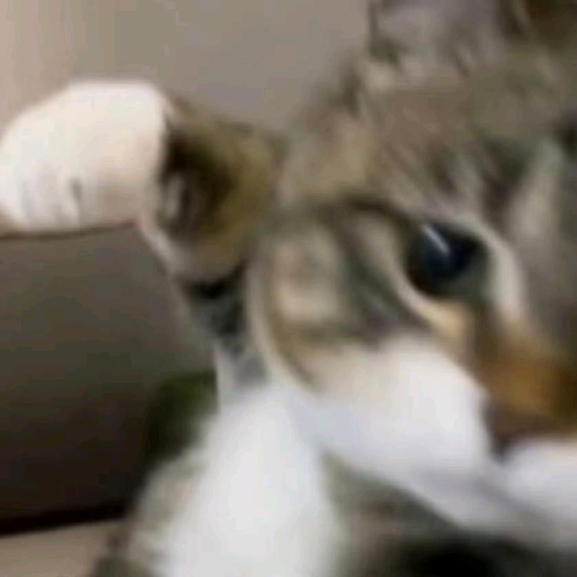 C-