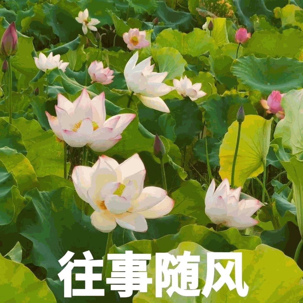 感悟