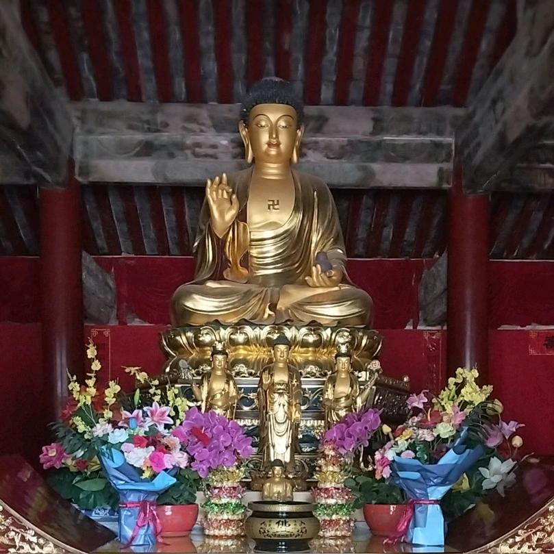 花语柚子同眠