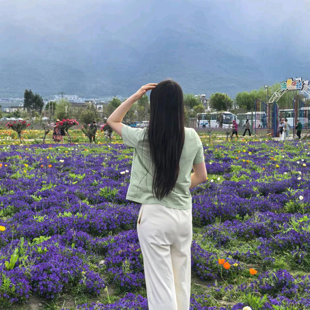 杨杨