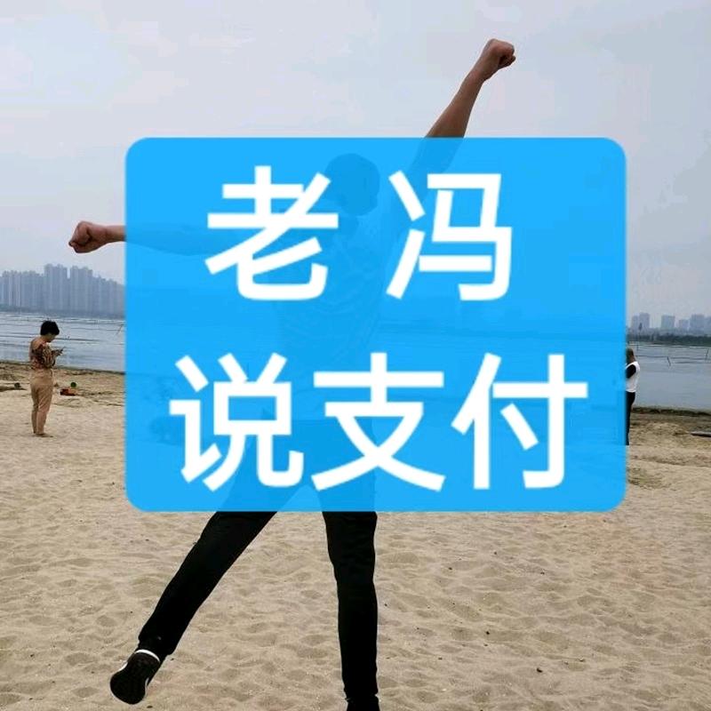 老冯说支付